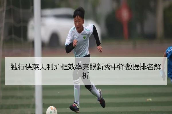 独行侠莱夫利护框效率亮眼新秀中锋数据排名解析